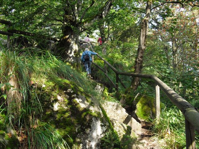 Wandern im Vogelsberg