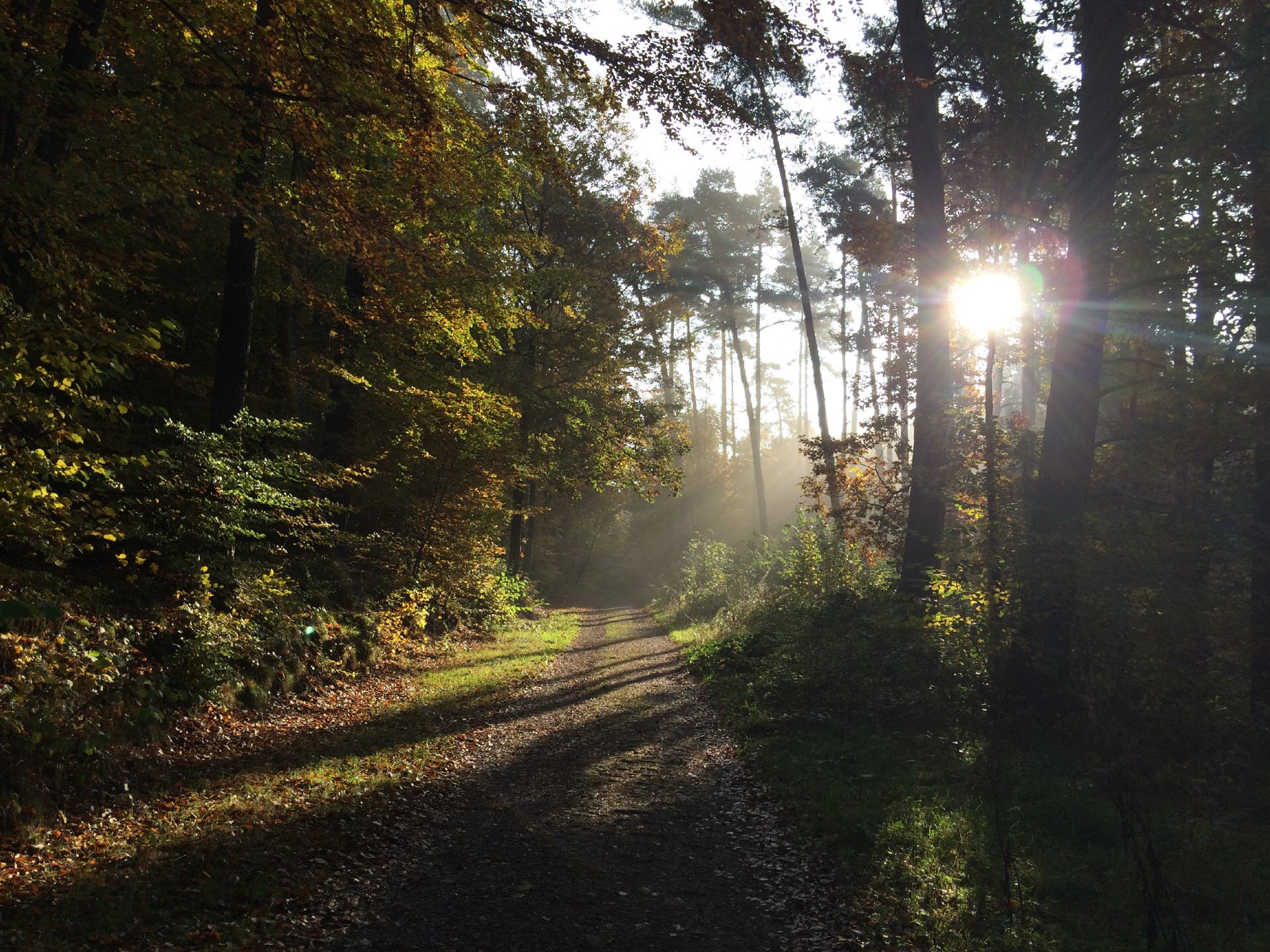 Bonifatius-Pilgerroute Effolderbach